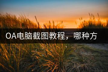 OA电脑截图教程，哪种方式最简单？-千羽学社