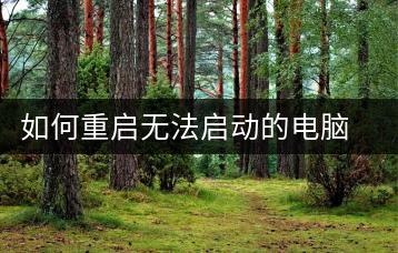 如何重启无法启动的电脑？故障排除方法-千羽学社