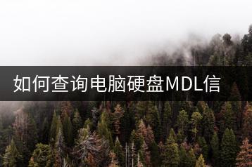 如何查询电脑硬盘MDL信息？硬盘信息查询教程-千羽学社
