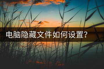 电脑隐藏文件如何设置？电脑隐藏文件设置方法-千羽学社