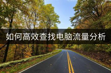 如何高效查找电脑流量分析方法？电脑流量监控技巧有哪些？-千羽学社