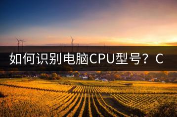 如何识别电脑CPU型号？CPU型号识别方法-千羽学社