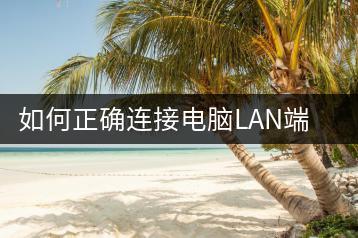 如何正确连接电脑LAN端口？连接指南详解-千羽学社