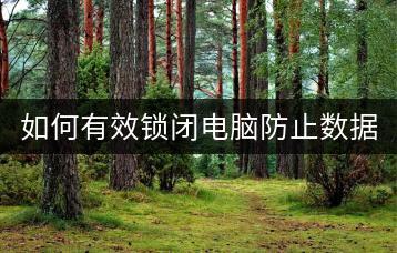 如何有效锁闭电脑防止数据泄露？电脑休眠的正确操作是什么？-千羽学社