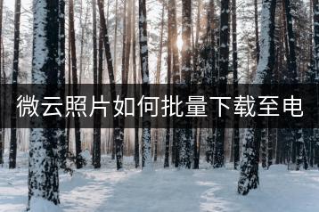 微云照片如何批量下载至电脑？-千羽学社
