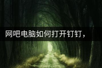 网吧电脑如何打开钉钉，轻松登录教程-千羽学社