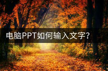 电脑PPT如何输入文字？文字输入技巧-千羽学社
