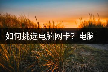 如何挑选电脑网卡？电脑网卡选购指南-千羽学社