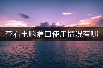 查看电脑端口使用情况有哪些方法？端口冲突如何解决？-千羽学社