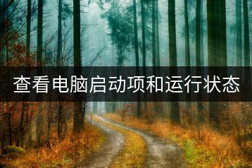 查看电脑启动项和运行状态有哪些简易方法？-千羽学社