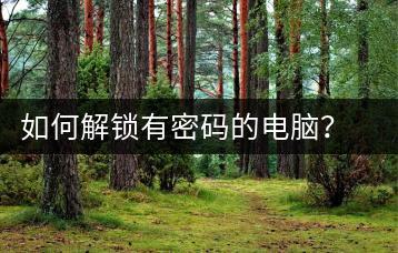 如何解锁有密码的电脑？密码解除指南-千羽学社