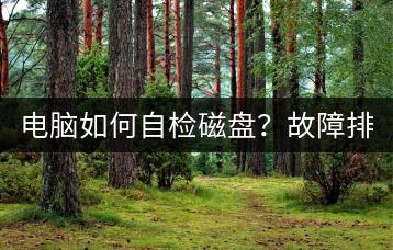 电脑如何自检磁盘？故障排查！-千羽学社