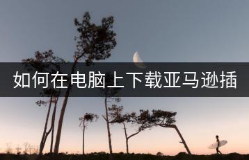 如何在电脑上下载亚马逊插件？-千羽学社