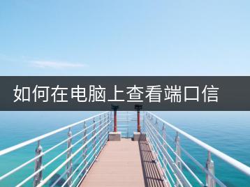 如何在电脑上查看端口信息？网络诊断方法-千羽学社