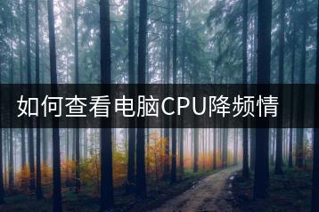 如何查看电脑CPU降频情况？解决降频问题！-千羽学社