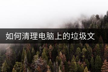 如何清理电脑上的垃圾文件？优化技巧-千羽学社