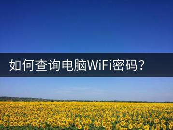 如何查询电脑WiFi密码？方法介绍-千羽学社