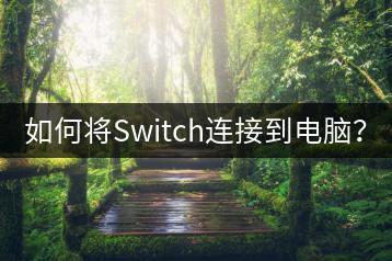 如何将Switch连接到电脑？-千羽学社
