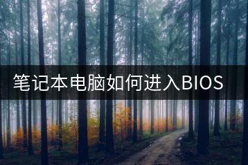 笔记本电脑如何进入BIOS？设置指南-千羽学社