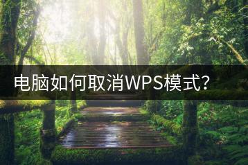 电脑如何取消WPS模式？取消方法-千羽学社