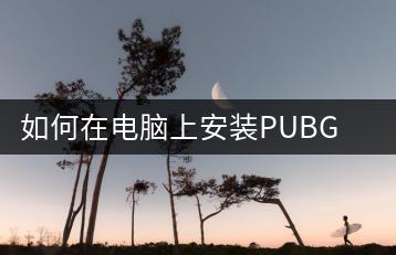 如何在电脑上安装PUBG？安装过程中要注意什么？-千羽学社