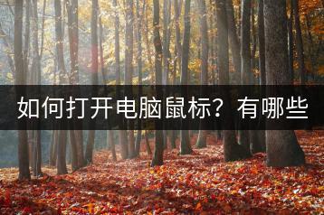 如何打开电脑鼠标？有哪些步骤？-千羽学社