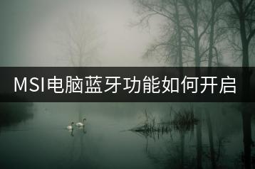 MSI电脑蓝牙功能如何开启？-千羽学社