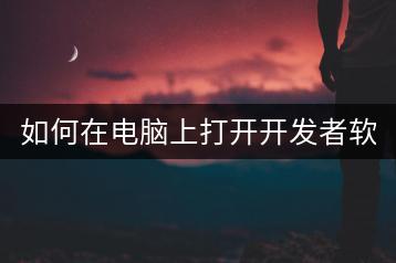 如何在电脑上打开开发者软件？-千羽学社
