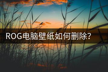 ROG电脑壁纸如何删除？壁纸管理技巧分享-千羽学社