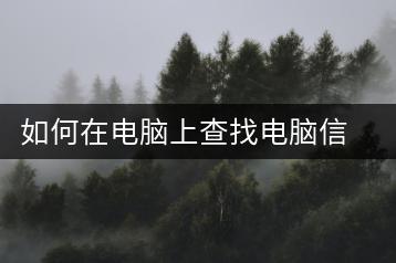 如何在电脑上查找电脑信息？电脑信息查询指南-千羽学社