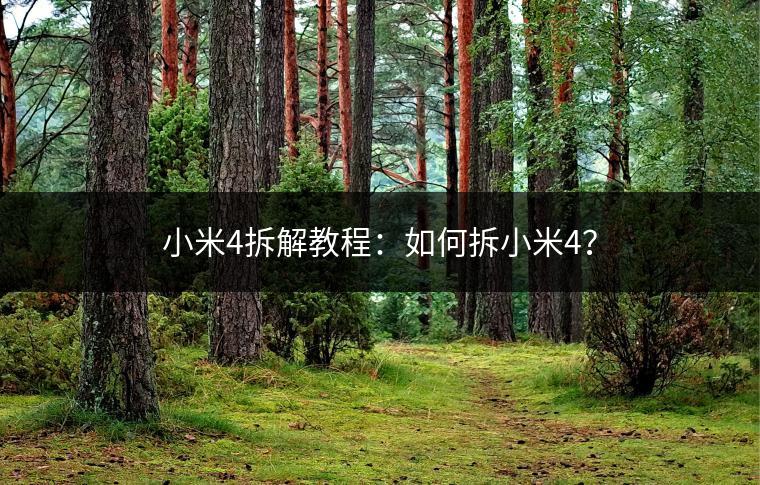 小米4拆解教程：如何拆小米4？