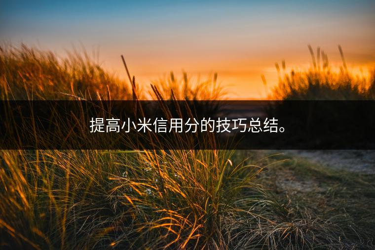 提高小米信用分的技巧总结。