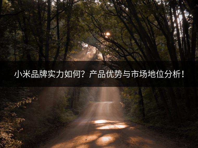 小米品牌实力如何？产品优势与市场地位分析！
