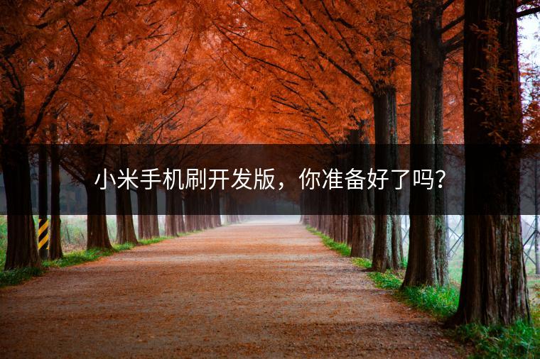 小米手机刷开发版，你准备好了吗？