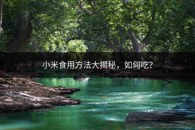 小米食用方法大揭秘，如何吃？