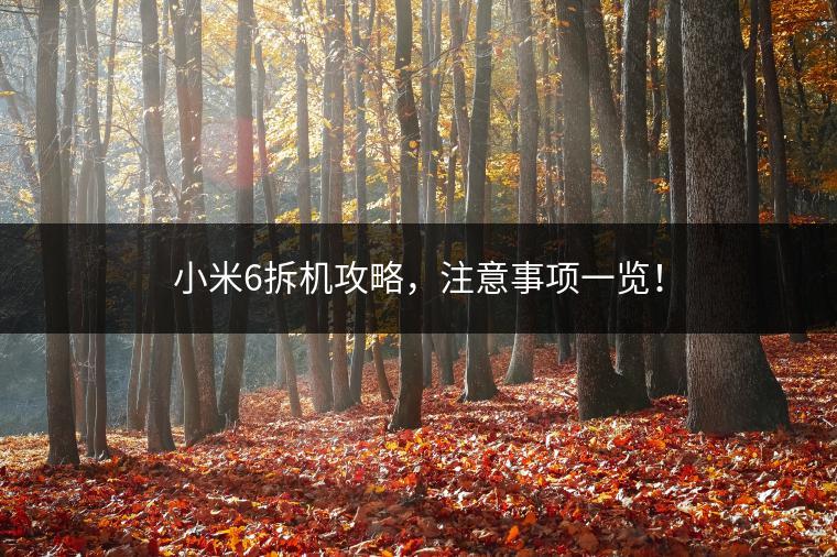 小米6拆机攻略，注意事项一览！