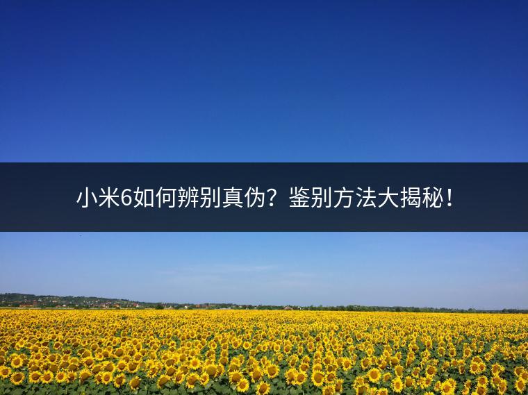 小米6如何辨别真伪？鉴别方法大揭秘！
