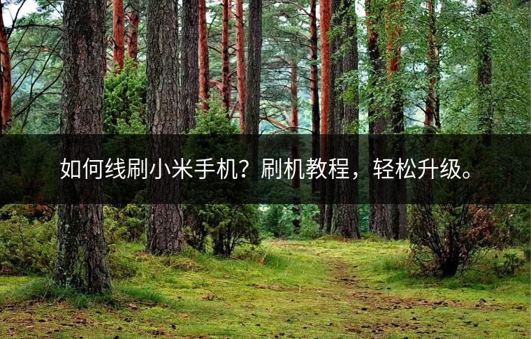 如何线刷小米手机？刷机教程，轻松升级。