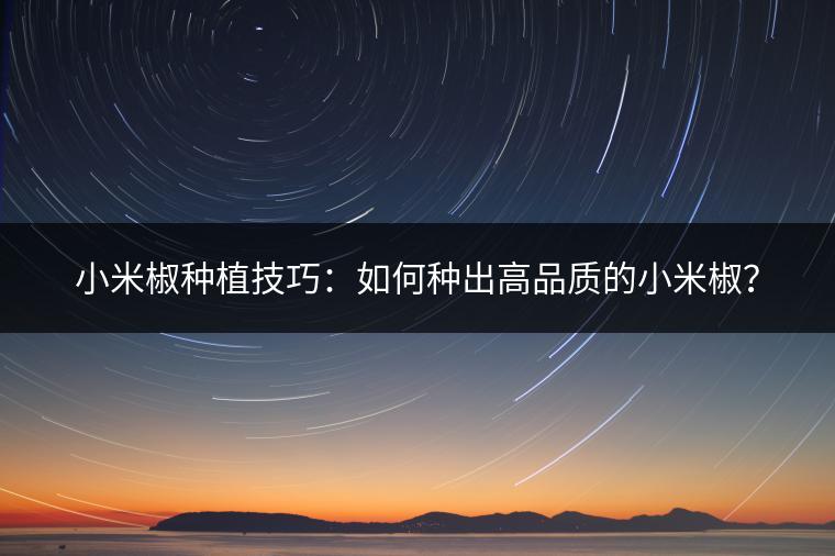 小米椒种植技巧：如何种出高品质的小米椒？
