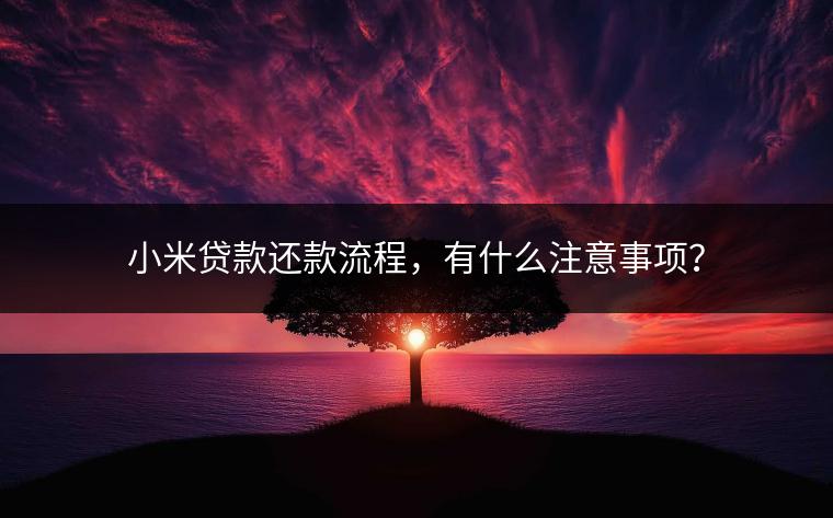 小米贷款还款流程，有什么注意事项？