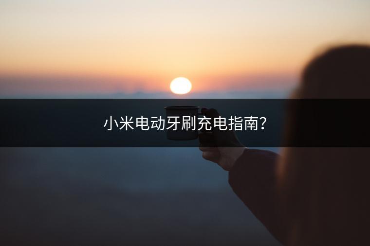 小米电动牙刷充电指南？