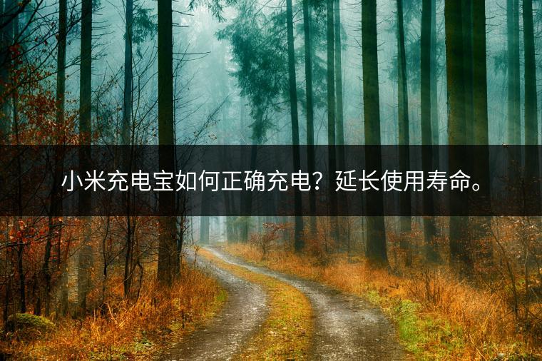 小米充电宝如何正确充电？延长使用寿命。