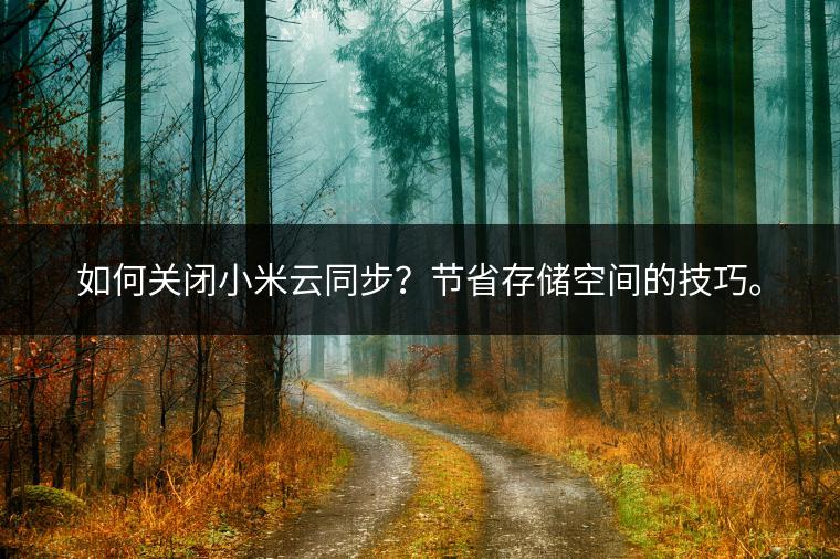 如何关闭小米云同步？节省存储空间的技巧。