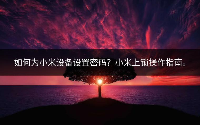 如何为小米设备设置密码？小米上锁操作指南。