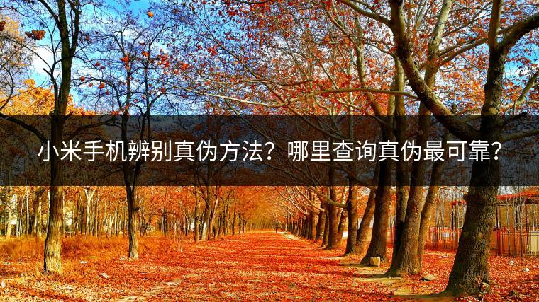 小米手机辨别真伪方法？哪里查询真伪最可靠？