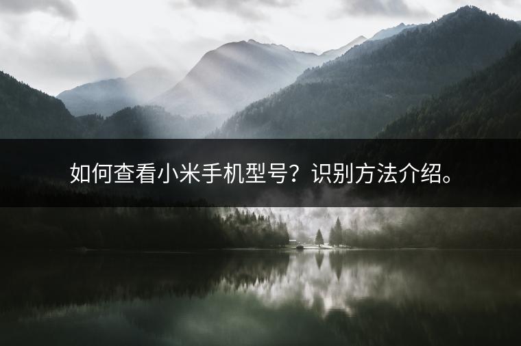 如何查看小米手机型号？识别方法介绍。