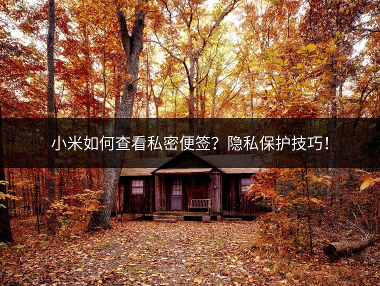 小米如何查看私密便签？隐私保护技巧！
