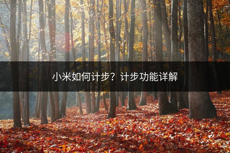 小米如何计步？计步功能详解