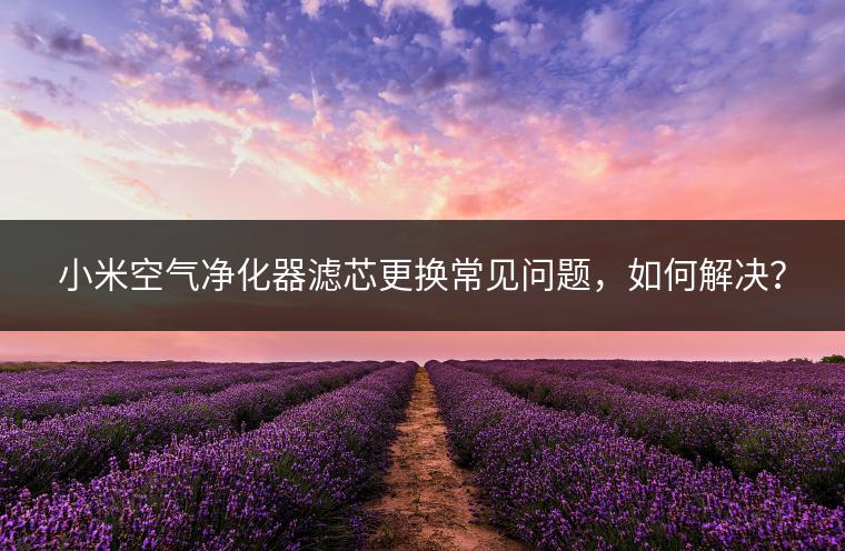 小米空气净化器滤芯更换常见问题，如何解决？