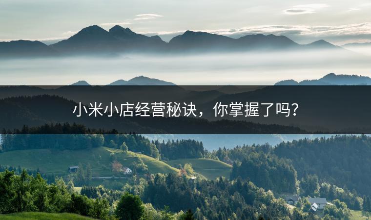 小米小店经营秘诀，你掌握了吗？